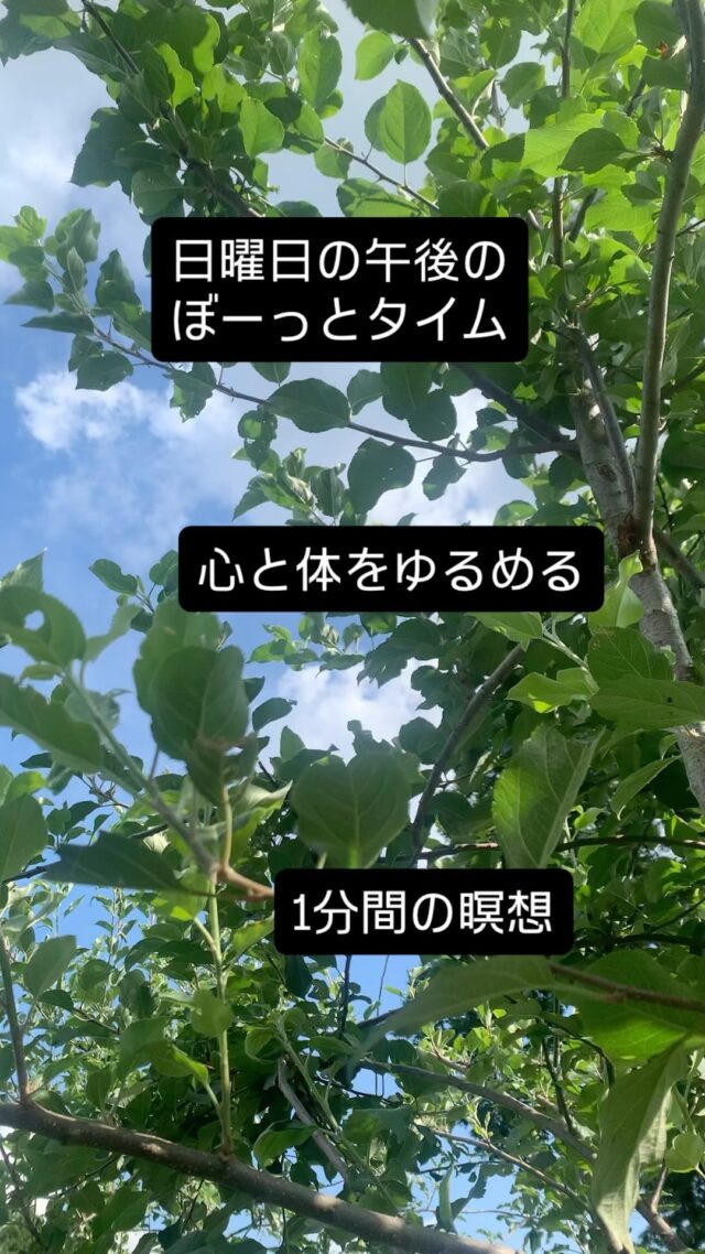 🌀 日曜日の午後のぼーっとタイム

思考の渦に
巻きこまれそうな
午後に

たった1分、
自分の呼吸に
戻るだけで

心は少し、
軽くなる。

今日は、
思考を手放す
1分瞑想をどうぞ🌿

いいなと思ったら保存して、また聴いてね❤️

　

#午後のぼーっとタイム #1分瞑想 #自律神経ケア #心のデトックス #更年期セルフケア #ナチュラルイングリッシュ #ましこセラピー