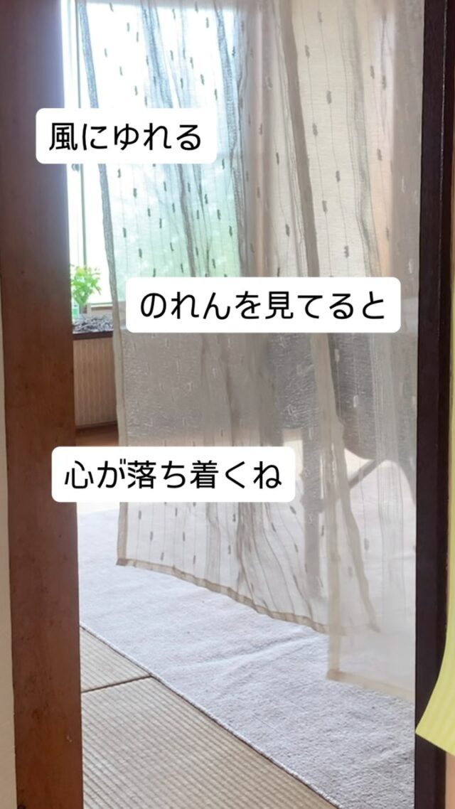 まだ台風の影響か、
風があるけど、

こんな時は、
ゆらゆら揺れるのれんを見てると

時間がゆっくりに

ただここにいる
そんな時間を

自分にプレゼント
してみてね

#ほっと一息朝の時間

#日常の癒し #心を整える #風のある暮らし
#ましこのセラピー #午後のぼーっとタイム #ナチュラルセルフケア
#自分を大切にする #のれんが揺れる日 #心をゆるめる風