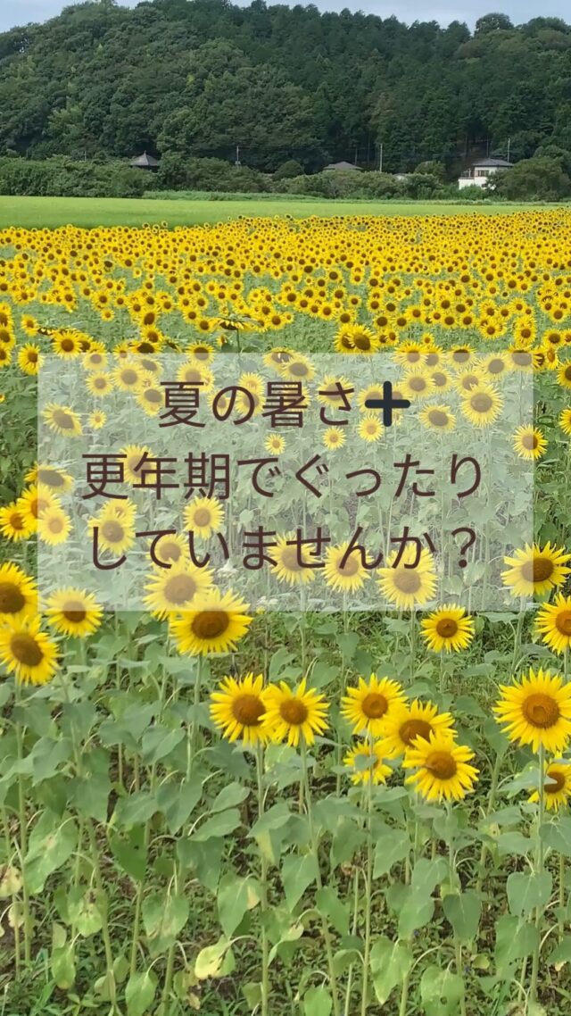 「夏の暑さと更年期のダブルパンチでぐったり…💦」

✔ 冷たい飲み物ばかりで体がだるい
✔ 寝苦しくて疲れがとれない
✔ 気持ちもイライラしやすい

このカラダ、どうにかしたい、、
でも、暑くて運動なんてムリ、、

そんな時こそおすすめなのが、
新メニュー《オーツークラフトストレッチ》🌿

「運動なんて暑くてムリ！」という方でも大丈夫。

ただベッドに横になっているだけで、体が自然に伸びていく感覚。
とても気持ちよくて、リラックスしながら

✨ 体が目覚めていく
✨ 呼吸が深くなる
✨ 血流が巡ってスッキリ軽くなる

「癒し&整える」のダブル効果❤️

💬 施術を受けた方からは、
「肩が軽くなった！」
「またリピートしたい！」
という声もいただいています☺️

💖 今月は【8月限定キャンペーン特別価格】でご案内中。
ぜひこの機会に「気持ちいいのに体が変わる感覚」を味わってみてください🍀

▶ ご予約はプロフィールリンクから
▶ 先着順につきお早めにどうぞ✨

#益子 #マッサージ #オイルマッサージ #更年期ケア #夏の疲れ #自律神経を整える #ストレッチ #新メニュー #キャンペーン

#o2クラフトストレッチ

@ci.wellness_official